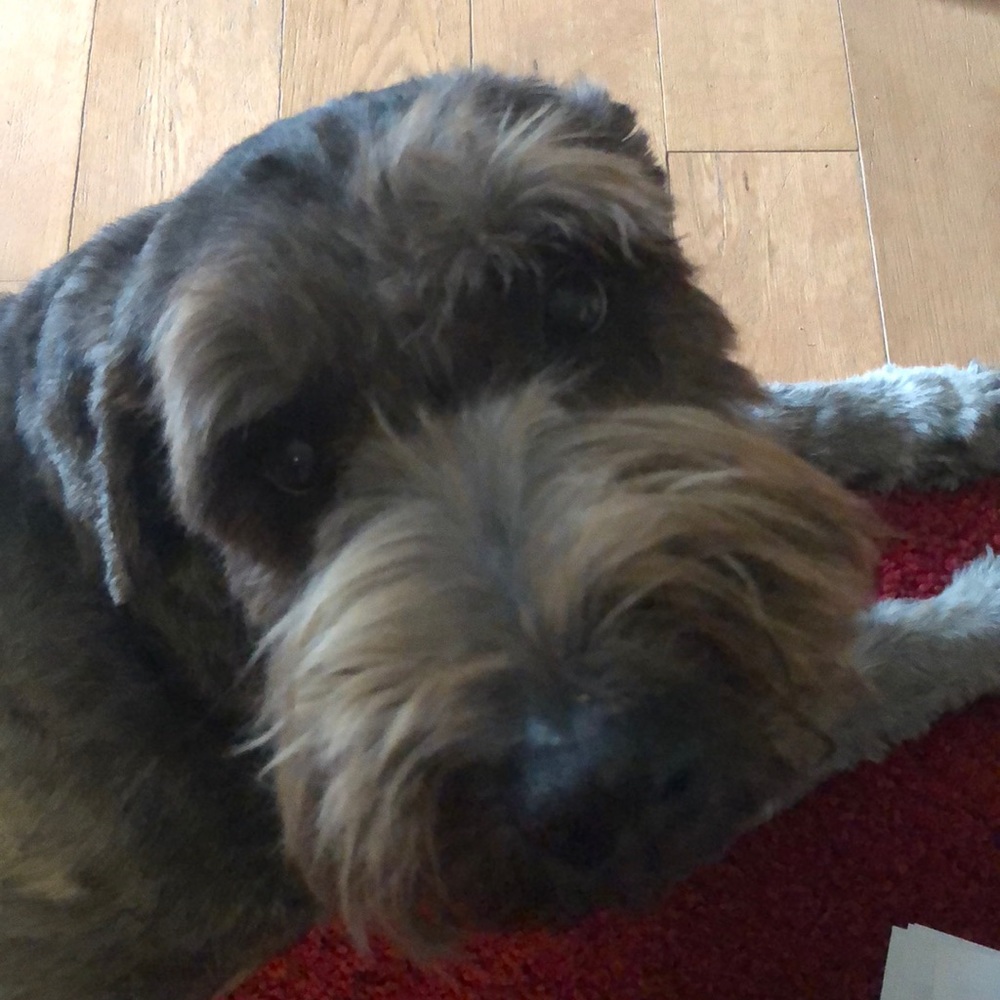 Meet your Posher, Jodi l